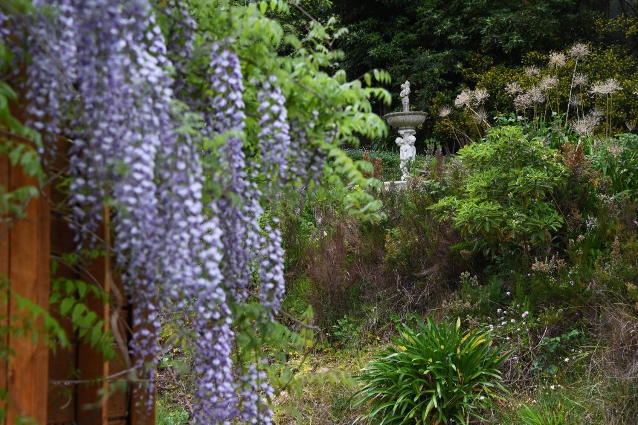 Yarra Ranges Country Apartment Mount Evelyn Exterior foto